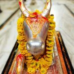 Gaushala Photo